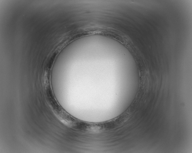 X0000080780598200612151034