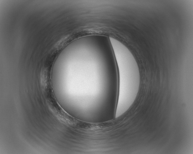 X0000080780600200612151034