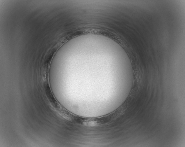 X0000080780602200612151034