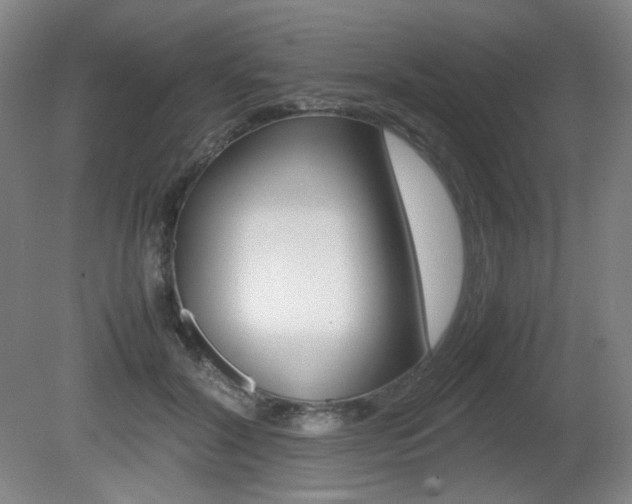 X0000080780604200612151034
