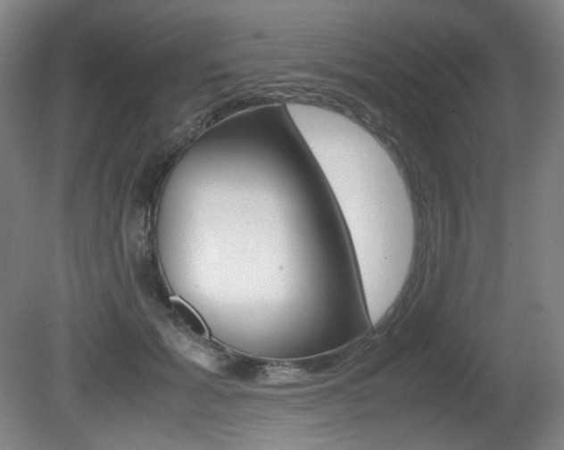 X0000080780605200612151034