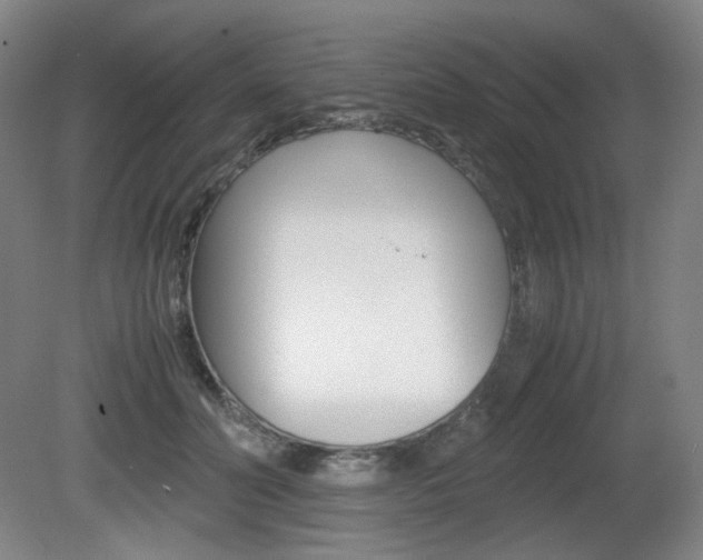 X0000080780606200612151034
