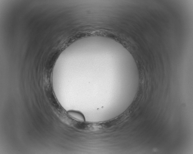 X0000080780607200612151034