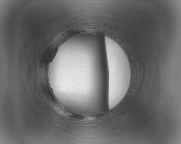 X0000080780609200612151033
