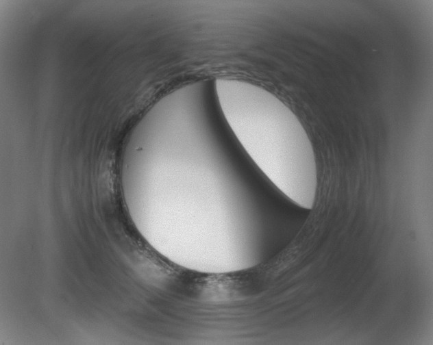 X0000080780612200612151033