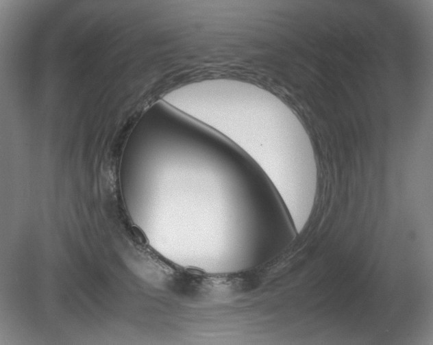 X0000080780613200612151033