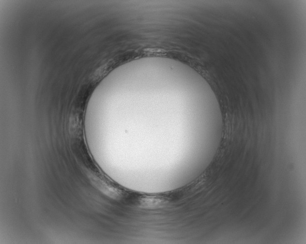 X0000080780614200612151033