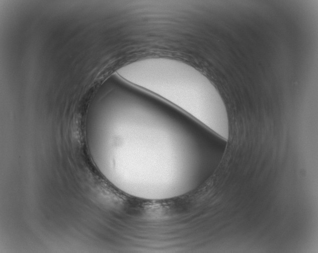 X0000080780616200612151033