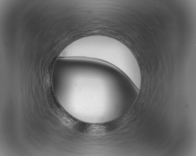 X0000080780617200612151033