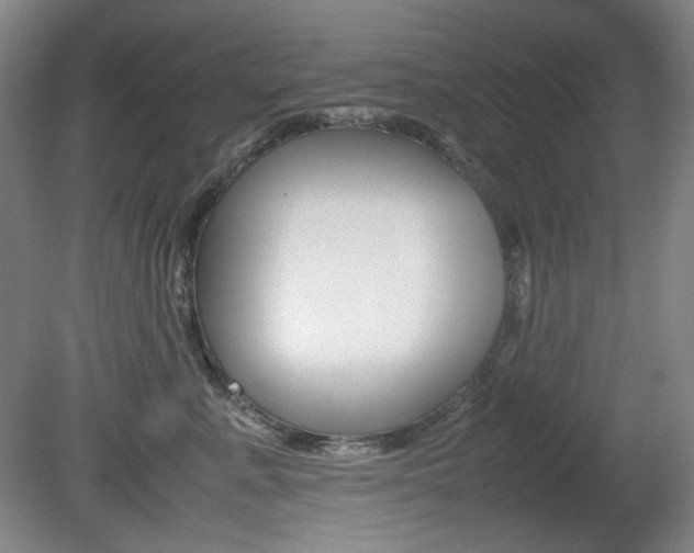 X0000080780619200612151033