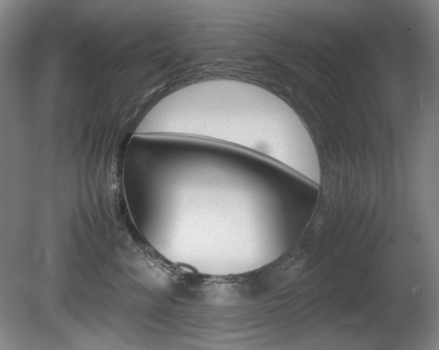 X0000080780620200612151033