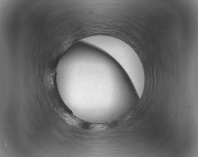 X0000080780621200612151033