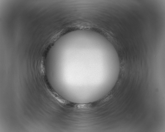 X0000080780622200612151033