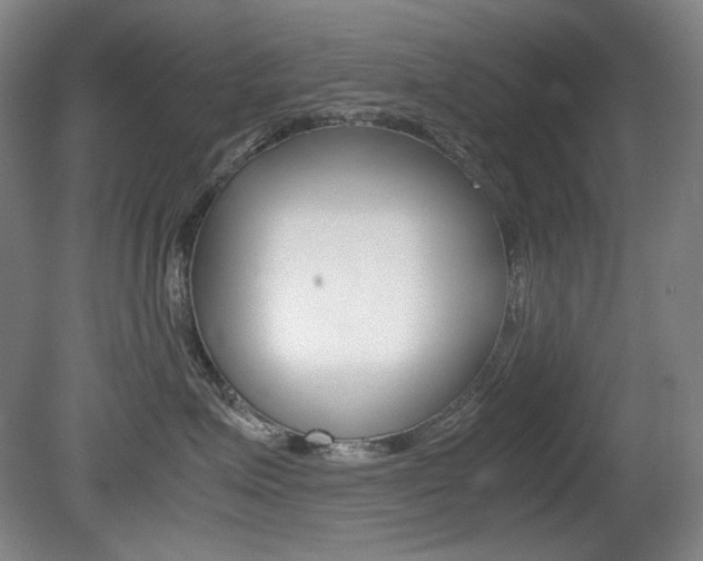 X0000080780623200612151033