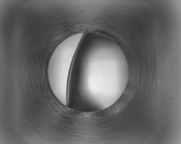X0000080780624200612151033