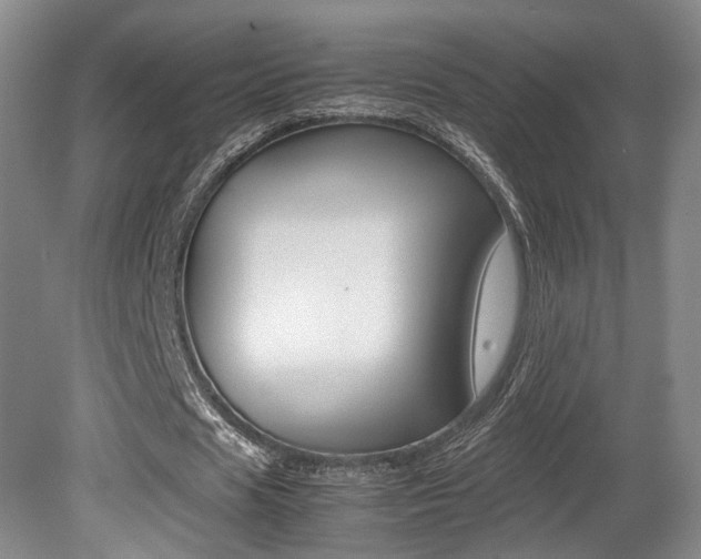 X0000080780625200612151032