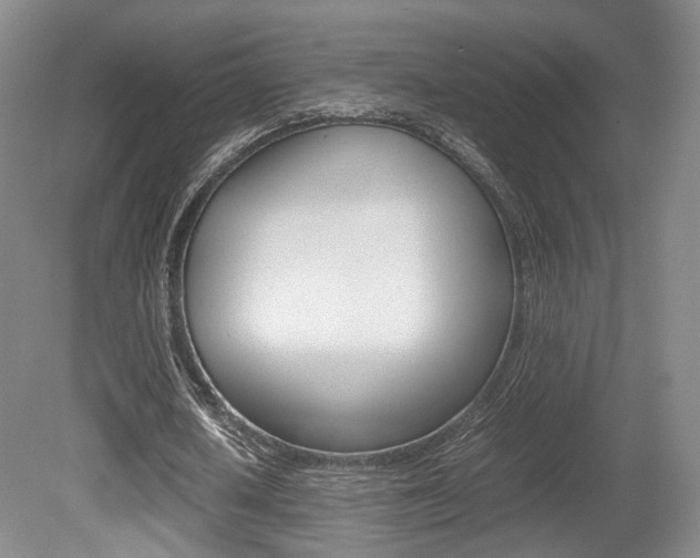 X0000080780626200612151032