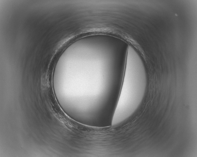 X0000080780628200612151032