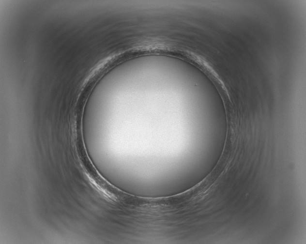 X0000080780629200612151032