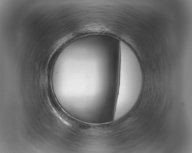 X0000080780630200612151033