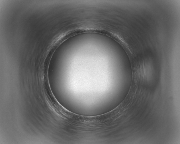 X0000080780631200612151033