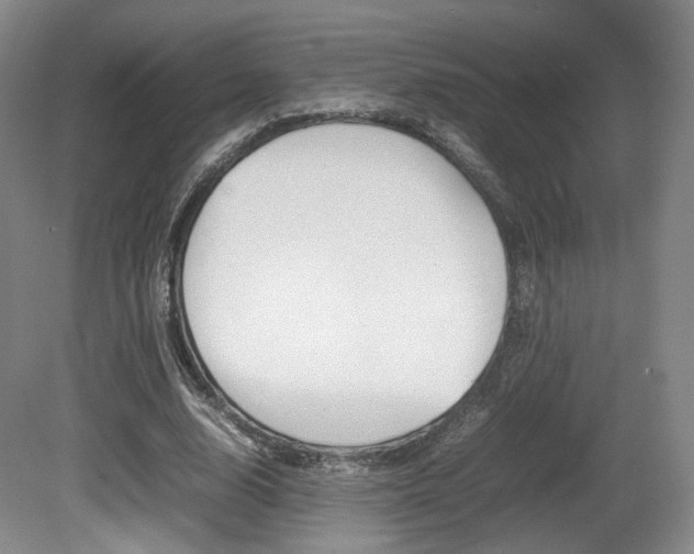X0000080780632200612151033