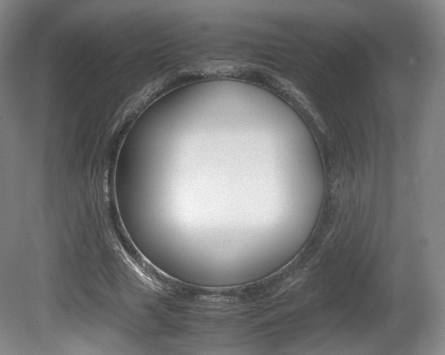 X0000080780633200612151033