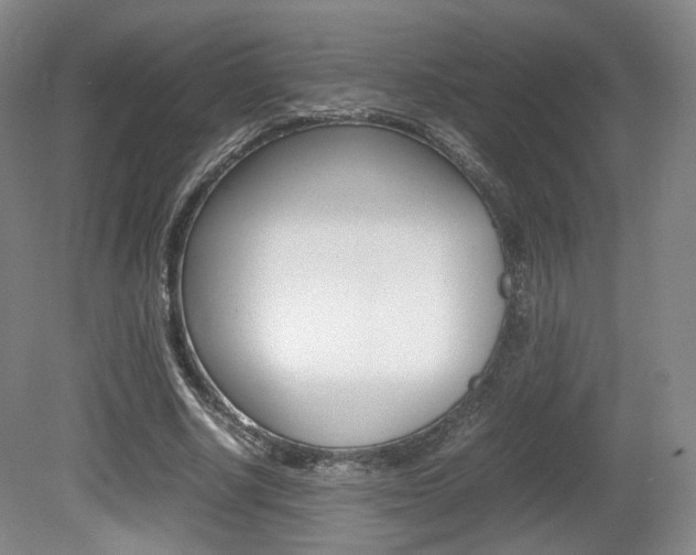 X0000080780634200612151033