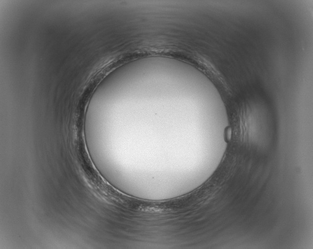 X0000080780635200612151033