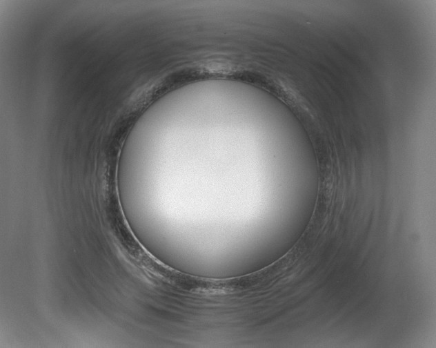 X0000080780639200612151033