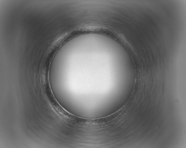 X0000080780640200612151033