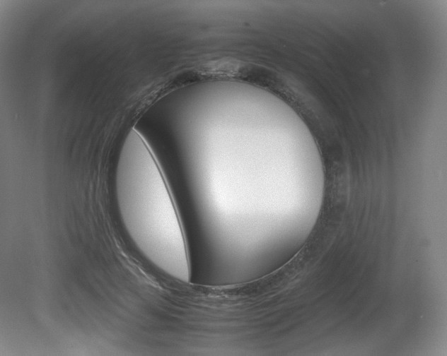 X0000080780641200612151033