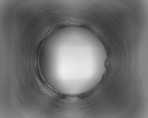 X0000080780642200612151033