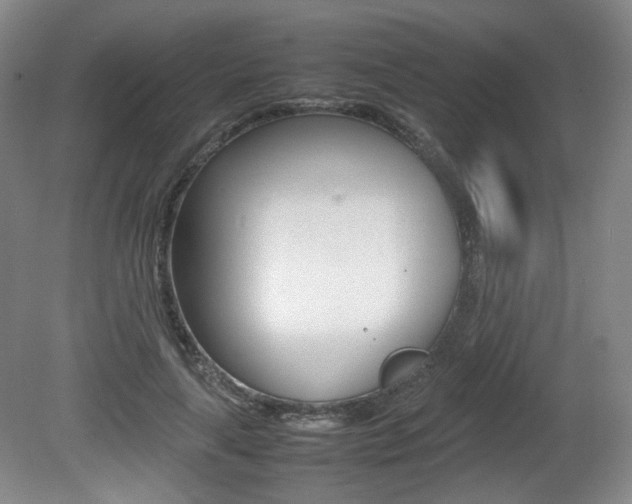 X0000080780643200612151033