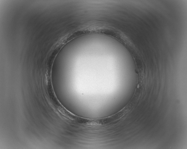X0000080780644200612151033