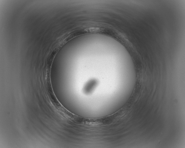 X0000080780645200612151033