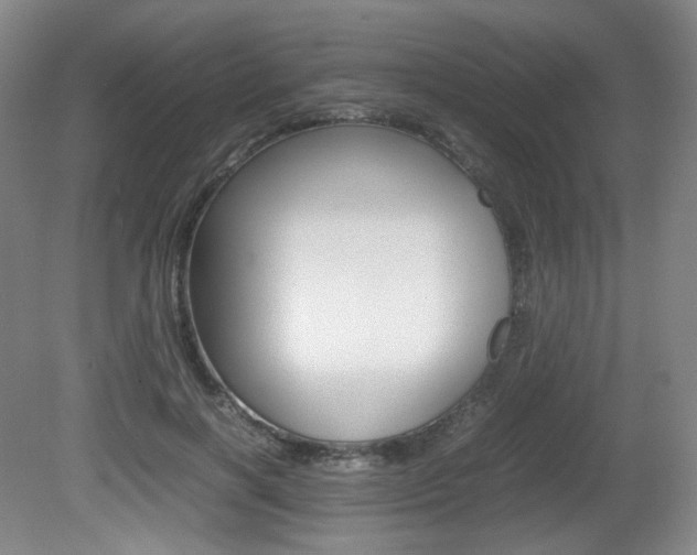 X0000080780646200612151033
