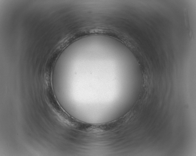 X0000080780648200612151033