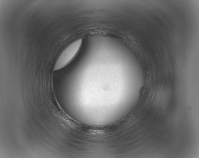 X0000080780649200612151033
