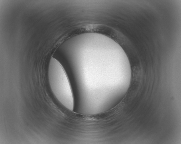 X0000080780650200612151033