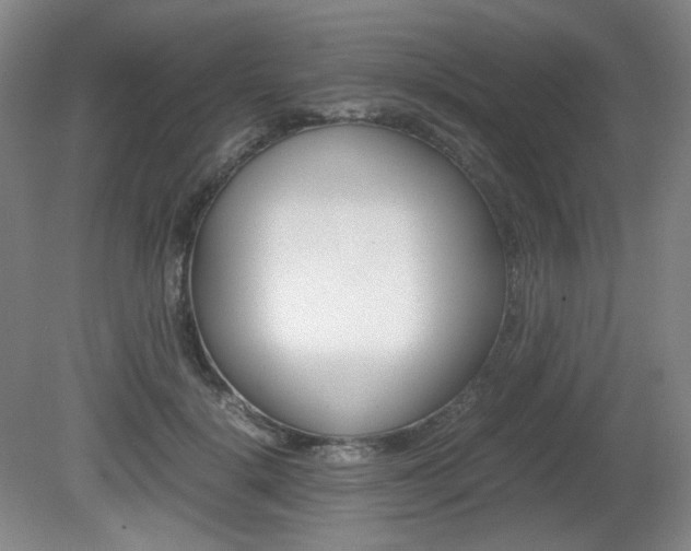 X0000080780652200612151033
