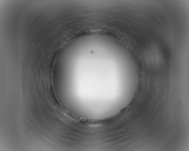 X0000080780653200612151033