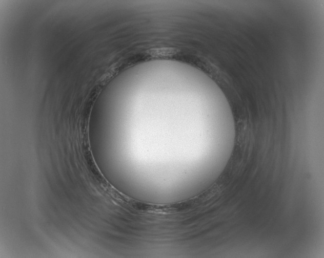 X0000080780655200612151033