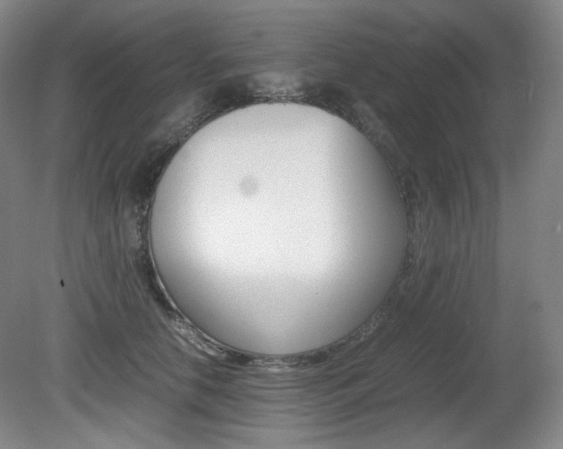 X0000080780658200612151033