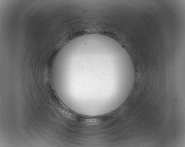X0000080780659200612151033
