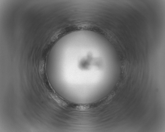 X0000080780660200612151033
