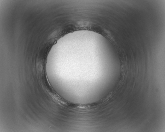 X0000080780662200612151033