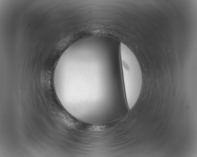 X0000080780664200612151033