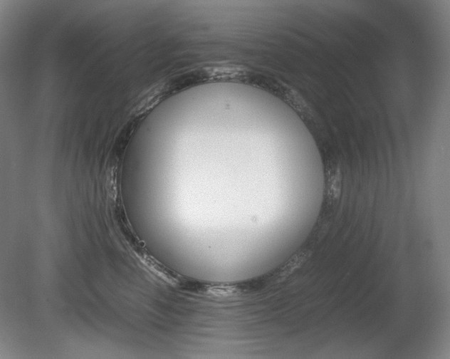 X0000080780666200612151033