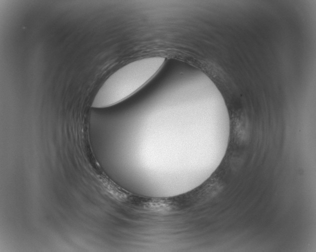X0000080780668200612151033